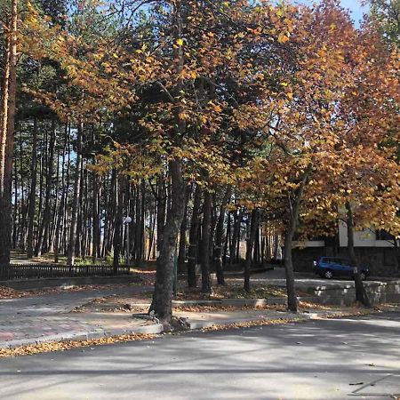 Borov Park 1 Apartamento Velingrad Exterior foto