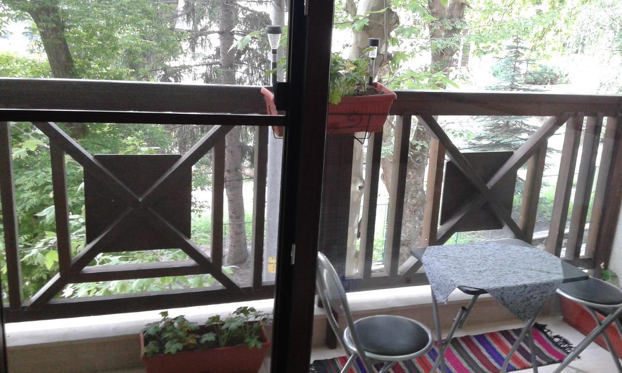 Borov Park 1 Apartamento Velingrad Exterior foto