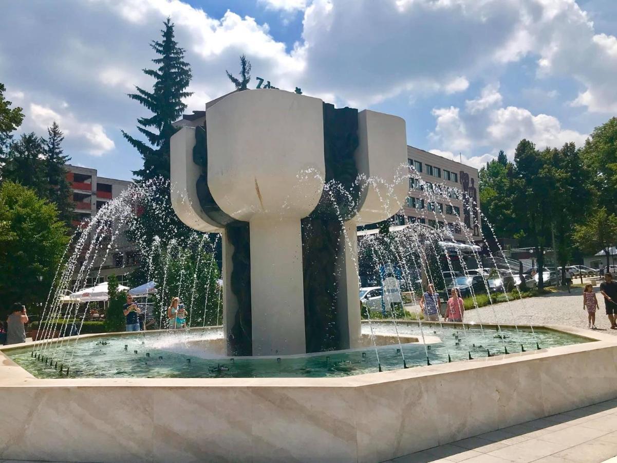 Borov Park 1 Apartamento Velingrad Exterior foto